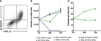 Membrane-bound IL-2 improves the expansion, survival, and phenotype of CAR Tregs and confers resistance to calcineurin inhibitors